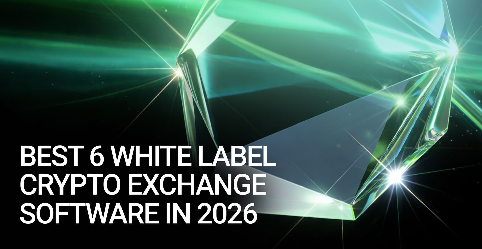 Best 6 White Label Crypto Exchange Software in 2027